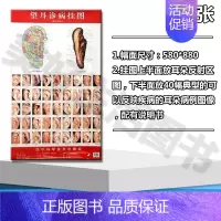 [正版]望耳诊病挂图(附说明书) 9787538189698 辽宁科技 周幸来 望诊图表 中医养生 中医临床 书籍