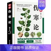 [正版]伤寒论 张仲景 彩色图文解析 白话解今释译释原文原著中医学书籍中医基础理论知识中医名著