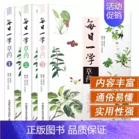 [正版]套装3本 每日一学草药123 曾培杰编著 中医药学参考书籍 中草药方大全中草药自学入门书籍读物 中国科学技术出版