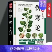 [正版] 图解伤寒论 彩图版现代家庭认知应用养生保健指南书中医思想百余方剂祛外感热病中药图谱yt