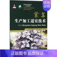 [正版]紫苏生产加工适宜技术 温春秀,刘灵娣中草药药物药理分析药师专业图书 中医中成药大全书籍 中国医药科技出版社
