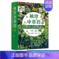 [正版]袖珍中草药野外识别图鉴 第二版 药用植物鉴别中国植物志 中华本草 中医药医师研究人员学生中草药爱好者参考工具书