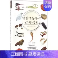 [正版]名贵中药材的识别与应用 罗兴洪,任晋生中草药药物药理分析药师专业图书 中医中成药大全书籍 中国医药科技出版社