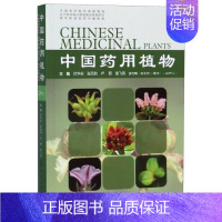 [正版]书店中国药用植物(二十八) 叶华谷;易思荣;付绍智;曾飞燕主编 中医 图书籍