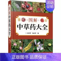 [正版]图解中草药大全 中医入门中草药大全书籍药材植物彩图中药大全 中医养生保健大全中草药识别百科全书 本草纲目中草药识