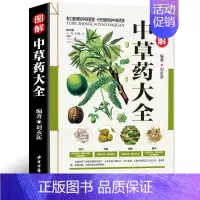 [正版]发 彩图全图全解中草药大全 中药材识别图鉴书籍 中医入门中草药大全书籍药材植物彩图中药大全书中医大全书中草药