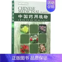 [正版]中国药用植物 17 叶华谷 等中草药药物药理分析药师专业图书 中医中成药大全书籍 化学工业出版