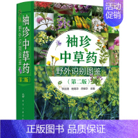 [正版]袖珍中草药野外识别图鉴 第二版 药用植物鉴别 植物志中草药口袋书中华本草中医药医师研究人员学生中草药爱好者参考工