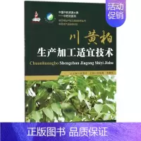 [正版]川黄柏生产加工适宜技术 郭俊霞,李青苗中草药药物药理分析药师专业图书 中医中成药大全书籍 中国医药科技出版社