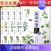 [正版]书籍 全4册 每日一学草药1234册 曾培杰 编著 中医草药药方大全中医草药初学者入门书籍科普读物 中医药学 中