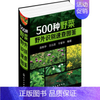 [正版]500种野菜野外识别速查图鉴 野外较常见的植物500种 适合中医药植物学农学园林学等专业人员及植物爱好者参考阅读