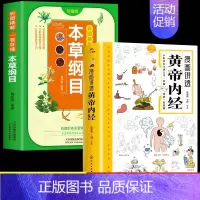 [2册]黄帝内经+本草纲目 [正版]漫画讲透黄帝内经原版书籍 漫画图解皇帝内经白话文彩图漫画版大字体四季养生大全中医入门