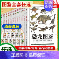 蝴蝶图鉴 [正版]任选常见蔬菜水果图鉴 图解矿物与岩石完全图鉴 129种蔬果的认识与了解营养介绍饮食烹饪菜谱食饮食 动物