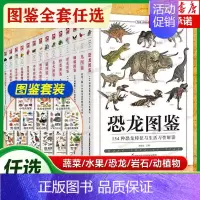 药用植物图鉴+野花图鉴(全2册) [正版]任选常见蔬菜水果图鉴 图解矿物与岩石完全图鉴 129种蔬果的认识与了解营养介绍