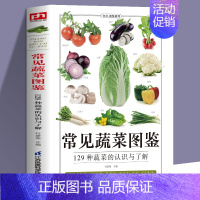 [正版]常见蔬菜图鉴五谷杂粮营养介绍饮食功效解读 食材选购指南美食烹饪菜谱 食物营养搭配饮食宜忌大全书饮食功效解读食材选