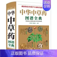 中华中草药全典 [正版]餐桌上的中药书民间中医养生小方子书籍疗的饮食与药膳治百病营养学赵霖健康营养餐老方白病百科全书