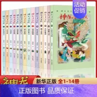 [全套14册]神龙寻宝队1-14册 [正版]神龙寻宝队全套14册大秦兵马俑商鞅方升曾侯编钟谷清平著藏在国宝里的中国历史儿