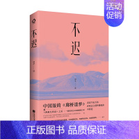 [正版] 不迟 羽芊 中国版的《廊桥遗梦》 活明白了再爱,多晚也不迟 中国现当代随笔文学小说书籍书