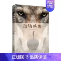 [正版] 动物映象 祖克慰 书店 中国现当代随笔书籍 畅想书