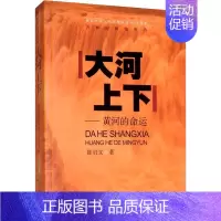 [正版]大河上下——黄河的命运 陈启文 著 文学 杂文 中国古代随笔文学 随笔文学 图书籍 安徽文艺出版社