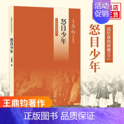 [正版]怒目少年 回忆录四部曲之二 王鼎钧著作 中国古代随笔文学 书籍 现代文学之作 青少年初高中课外阅读书目 文学作品