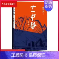 [正版] 十一中队 樊希安著 酒钢建设镜铁山矿当代文学小说不灭的军魂三部曲