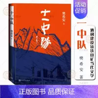 [正版]十一中队 樊希安 酒钢建设镜铁山矿 当代文学小说 不灭的军魂三部曲