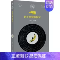 [正版]地下丝绒与妮可 (美)乔·哈佛(Joe Harvard) 著 姜亦朋 译 外国现当代文学 文学 上海文艺出版社