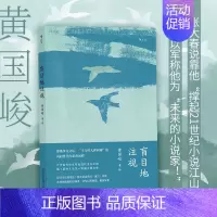 [正版] 盲目地注视 黄国峻用说书人的笔法 继《度外》后 黄国峻台湾当代文学小说书籍