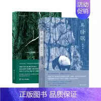 [正版]乌暗暝 雨 全2册 马来西亚作家黄锦树华语乡土文学魔幻现实主义长篇小说 调度不同的时间刻度 重新把灰烬还原为火
