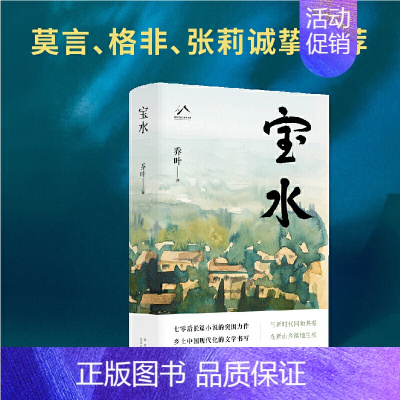 [正版] 宝水 乔叶 第十一届茅盾文学奖获奖作品 长篇小说 乡土中国现代化的文学书写 莫言、格非、张莉诚挚