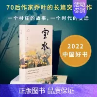 [正版]宝水 乔叶著 70后代表作家的长篇突围之作 乡土文学小说书籍 第11届茅盾文学奖提名 乡土中国新时代文学书 长