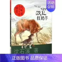 [正版] 红奶羊 沈石溪 著;起点插画 绘 著作 绘画/漫画/连环画/卡通故事少儿 儿童文学课外阅读小说书籍 长江少