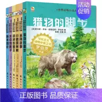 [正版]世界动物小说故事绘本全套6本 猎物的脚步6-9-12岁宝宝儿童科学启蒙读物早教书经典睡前童话故事连环画儿童成长系