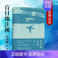 [正版]出版公司直发 盲目地注视 黄国峻 台湾文学内向世代 卡夫卡式犹疑变形 现代寓言色彩 童话寓言传说文学灵感 台湾文