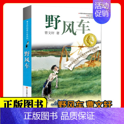 野风车/曹文轩 [正版]野风车 曹文轩纯美小说系列 国际安徒生奖得主曹文轩著9-14岁小学生三四五六年级儿童文学成长励志