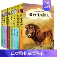 [正版]沈石溪中外动物小说精品升级版全8册沈石溪书动物小说大王系列全套狼王传奇(中外动物小说精品) 6-12岁少儿童书