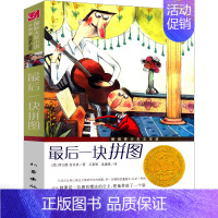 最后一块拼图 [正版]后一块拼图书新蕾出版社小学生二年级三年级四年级五年级课外书西古德·普吕茨著 国际大奖小说六年级学生