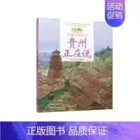 19.贵州正在说(平装) [正版]美丽中国从家乡出发中国正在说写给儿童的地理百科全书大百科全套科普类书籍小学一二三年级课