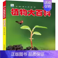 植物大百科 [正版]海洋动物大百科彩图注音版海底世界鱼类哺乳类海鸟甲壳类软体动物3-6-9-10岁学生少儿童科普科学启蒙