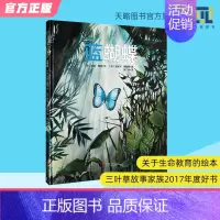 蓝蝴蝶 [正版]蓝蝴蝶 3-4-5-6岁幼儿科普类绘本儿童阅读图画书宝宝故事书籍老师早教启蒙读物家庭教育益智启蒙类童书图