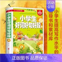 小学生好词好句好段(彩色精装) [正版]趣味科学 精装注音版小学生一二三四五六年级阅读课外书青少年儿童读物故事书彩图科普