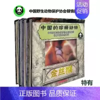 [正版]中国的珍稀动物:雪豹+藏铃羊+大熊猫+金丝猴 全套4册科普类书籍小学生阅读动物百科十万个为什么儿童3D立体书3-