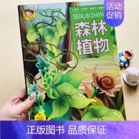 [正版]森林植物百科全书少儿科普类书籍彩图绘本植物小学生3-6-8-9-12岁中国少年儿童自然科学启蒙绘本花卉花朵关于植