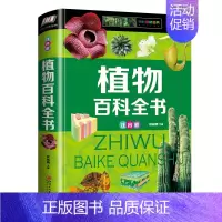 [正版]植物百科全书注音版 自然科学书籍启蒙 太空科学十万个为什么儿童 6-8-10-12-15岁地理宇宙大百科小学生课