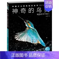 神奇的鸟类 [正版]中国少年儿童百科知识全书博物大百科全套小学生科普类书籍宇宙地理军事科学动物植物天文海洋微生物建筑交通