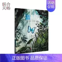 [正版] 蓝蝴蝶 来自亚马逊丛林的美丽故事讲述生命的循环不息 儿童科普绘本图画书故事书早教家庭教育益智启蒙类书籍畅