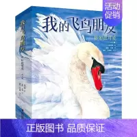 我的飞鸟朋友·你如此可爱(共4册) [正版]签名版赠手绘本我的飞鸟朋友你如此可爱全4册保冬妮类3-8岁儿童绘本图画故事亲