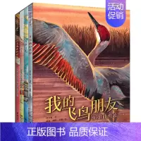 我的飞鸟朋友 你如此勇敢 [正版]签名版赠手绘本我的飞鸟朋友你如此可爱全4册保冬妮类3-8岁儿童绘本图画故事亲子共读启蒙
