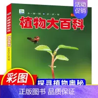 植物大百科(铜版纸加厚本) [正版]儿童百科全书注音版科普启蒙绘本类图画恐龙动物世界大百科海底海洋生物鱼昆虫小鸟类带拼音